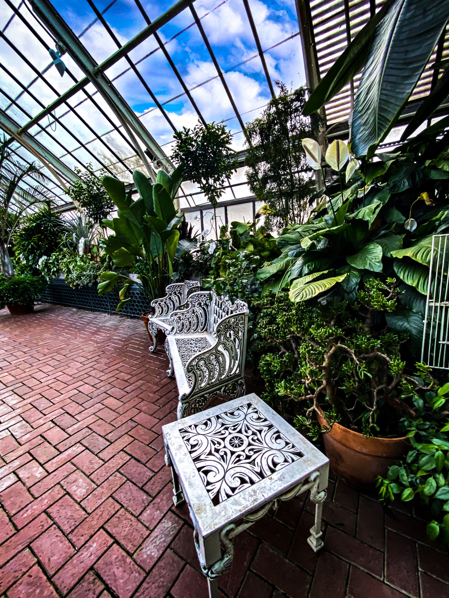 Roof Replacement Conservatory